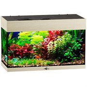 Купить Аквариум Biodesign Startup 50, силикатное стекло Pilkington Optifloat™, 4 мм, 50 л, 60x27.5x38 см, шторка для автокормушки, LED светильник, беленый дуб