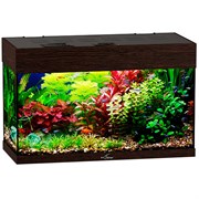 Купить Аквариум Biodesign Startup 50, силикатное стекло Pilkington Optifloat™, 4 мм, 50 л, 60x27.5x38 см, шторка для автокормушки, LED светильник, венге