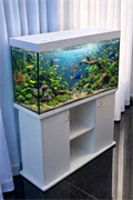 Аквариум Aqua Прямоугольник на 300 л. с тумбой