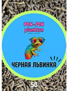 Личинка чёрной львинки сушёная, 50 г (развес)