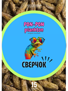 Сверчок сушёный Pon-Pon Plankton, 15 г (развес)