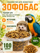 Зофобас сушёный, 100 г (развес)