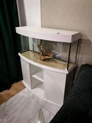 Аквариум Aqua Телик 260 л. с тумбой