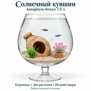 Аквариум-бокал 7,5 л «Солнечный кувшин» с керамикой, двумя растениями и кварцевым грунтом