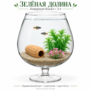 Аквариум-бокал 3 л «Зелёная долина» с керамическим гротом и двумя растениями