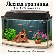 Аквариум Aqua «Телик» 25 л «Лесная тропинка» с глиняным декором, растениями и включённым освещением