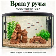 Аквариум Aqua «Телик» 38 л «Врата у ручья» с глиняным декором, растениями и включённым освещением