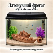 Аквариум Aqua «Телик» 78 л «Затонувший фрегат» с глиняным декором, растениями и включённым освещением