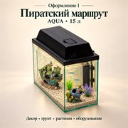 Оформление 1 — AQUA 15 л, чёрный: оформление «Пиратский маршрут», общий вид
