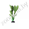 Растение шелковое Plant 036 20 см - фото 15040