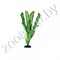 Растение шелковое Plant 045 20 см - фото 15073