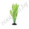 Растение шелковое Plant 048 50 см - фото 15086