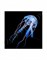 Decor 074  Силиконовая Медуза малая, Синяя 5*15 см - фото 19729