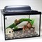 Черепашатник Aqua на 35 л. готовый комплект с мостиком и декором - фото 21438
