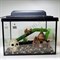 Черепашатник Aqua на 35 л. готовый комплект с мостиком и декором - фото 21439