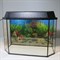 Аквариум Aqua "Панорама" 45 л.  готовый комплект с оборудованием - фото 21557