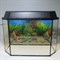 Аквариум Aqua "Панорама" 45 л.  готовый комплект с оборудованием - фото 21558