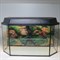 Аквариум Aqua "Панорама" 70 л.  готовый комплект с оборудованием 1 - фото 21585