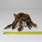 Мангровая коряга Heavy Driftwood 30-40 см  - фото 21967