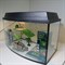 Черепашатник Aqua TV на 68 л. готовый комплект с оборудованием и декором - фото 22157
