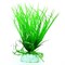 Растение для аквариума Plant 056/20 Акорус 20см - фото 23100