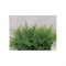 Растение пластиковое Коврик 25х25см, зеленое - фото 23525