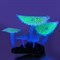 GLOXY Флуорисцентная аквариумная декорация "Кораллы зонтичные зеленые" 14х6,5х12см - фото 23554 GLOXY Флуорисцентная аквариумная декорация "Кораллы зонтичные зеленые" 14х6,5х12см - фото 23554