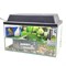 Черепашатник "Aqua" на 25 л. готовый комплект c оборудованием и декором Best - фото 25063