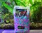 Грунт GLOFISH Розовый / Зеленый / Синий с флуоресцентными GLO частицами, 2,26кг - фото 25348