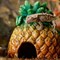 Укрытие ананас Exo Terra Pineapple Hide 13х13х16 см. - фото 26503