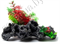 Биокерамика Риф с растениями К-111 - фото 26554