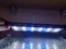 LED 021 Cветодиодный светильник 260мм 12ватт - фото 27197 LED 021 Cветодиодный светильник 260мм 12ватт - фото 27197