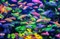 Данио морковка GloFish - фото 27334