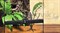 Дерево для террариумов гибкое Jungle Tree  Small 30 см. - фото 27398 Дерево для террариумов гибкое Jungle Tree  Small 30 см. - фото 27398