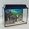 Аквариум Aqua Ширма на 20 л. готовый комплект с оборудованием - фото 28342