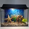 Аквариум Aqua Ширма на 35 л. готовый комплект с оборудованием и декором - фото 28379 Аквариум Aqua Ширма на 35 л. готовый комплект с оборудованием и декором - фото 28379