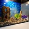 Аквариум Aqua Ширма на 30 л. готовый комплект с оборудованием и декором - фото 28384