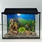 Аквариум Aqua Ширма на 20 л. готовый комплект с оборудованием и декором - фото 28394