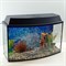 Аквариум Aqua Телик на 55 л. готовый комплект с оборудованием и декором - фото 28403