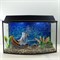 Аквариум Aqua Телик на 45 л. готовый комплект с оборудованием и декором - фото 28407