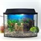 Аквариум Aqua Телик на 25 л. готовый комплект с оборудованием и декором - фото 28417 Аквариум Aqua Телик на 25 л. готовый комплект с оборудованием и декором - фото 28417