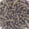 Biorept L Универсальный корм для сухопутных черепах и игуан, 250мл70гр.(банка) - фото 29224 Biorept L Универсальный корм для сухопутных черепах и игуан, 250мл70гр.(банка) - фото 29224