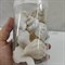 Shell 008 Набор морских раковин в банке 800мл300-400гр , 5,5-8,5 см - фото 29348 Shell 008 Набор морских раковин в банке 800мл300-400гр , 5,5-8,5 см - фото 29348