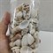 Shell 004 Набор морских раковин в банке 800мл 300-400 гр - фото 29355 Shell 004 Набор морских раковин в банке 800мл 300-400 гр - фото 29355