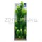 Растение пластиковое PRIME Ротала зеленая 38 см - фото 29384