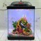 Аквариум Куб Aqua Glo на 20л. день/ночь с рыбками данио GloFish Reff - фото 30290