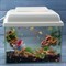 Аквариум Aqua Glo прямоугольник на 10л. день/ночь с рыбками тернеция GloFish - фото 30300