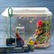 Аквариум Aqua Glo панорама на 30л. день/ночь с рыбками тернеция GloFish Reff - фото 30309