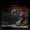 Аквариум Aqua Glo панорама на 30л. день/ночь с рыбками тернеция GloFish Reff - фото 30313