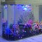 Аквариум Aqua Glo панорама на 15л. день/ночь с рыбками тернеция GloFish - фото 30323